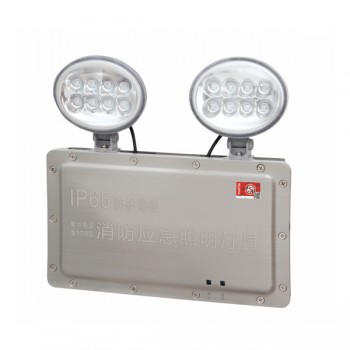 太阳集团有限公司_M6025 3W 集电集控防水型挂墙式双头灯M-ZFJC-E3W6025